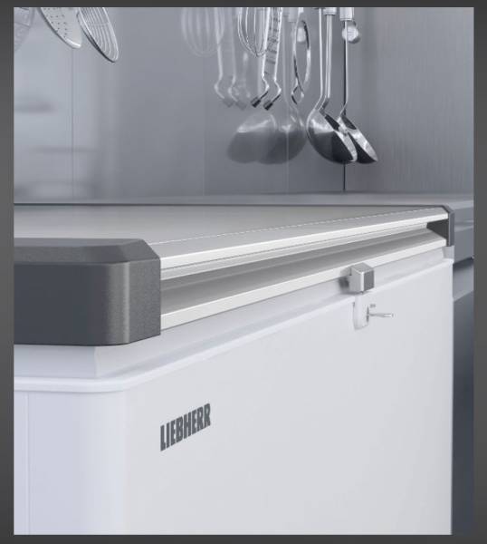 Horeca congélateur Liebherr EFL6056-21 vooraanzicht